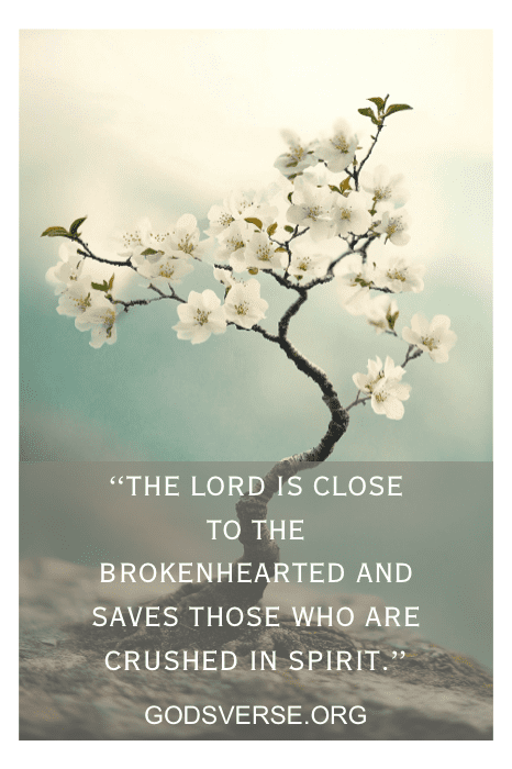 A blossoming tree representing hope and healing from depression through God's love