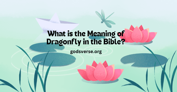 Dragonfly Meaning in the Bible – What Does It Symbolize