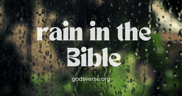 What Rain in the Bible Symbolizes: How It Relates to God