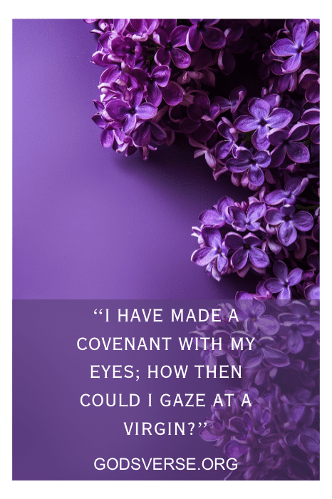 Purple lilacs on purple background with Bible verse on lust and adultery — GodsVerse.org